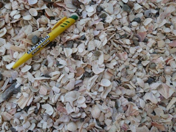 Bitcrushed Shell Shell Crushed 5-15mm – Heards Landscape Supplies | South Auckland ...